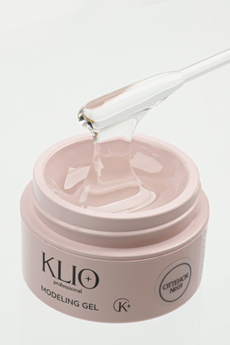 MODELING GEL № 01   15 G 